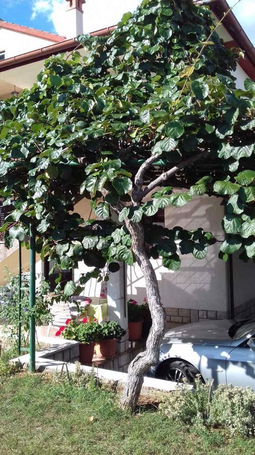 In Rovinj/istrien 11563 Apartment